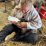 article image - farm families 5